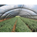 Засенчваща мрежа Agri 40
